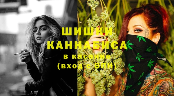хмурый Заводоуковск