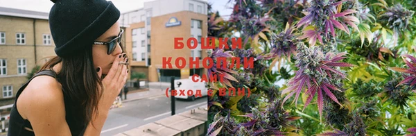 хмурый Заводоуковск