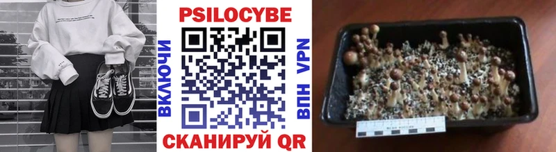где купить наркоту  Назрань  Псилоцибиновые грибы Magic Shrooms 