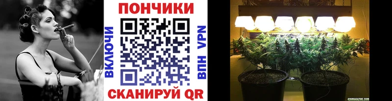 Бошки Шишки ГИДРОПОН  Назрань 